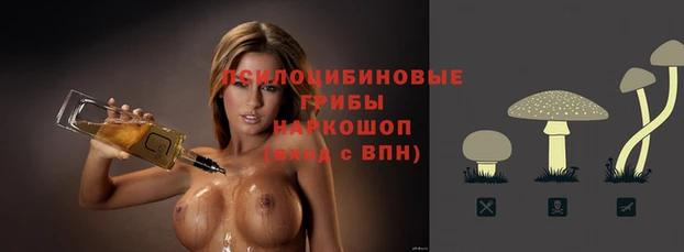 каннабис Алексеевка