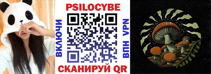 Галлюциногенные грибы Psilocybine cubensis  Волгоград 